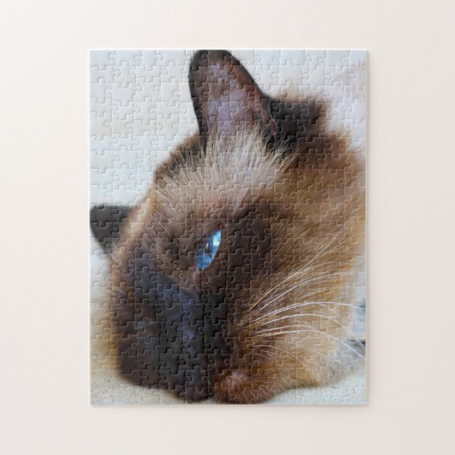 Puzzle Chat birman. (Vertical)