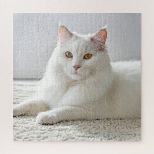 Puzzle Chat Blanc Posé Sur Tapis Blanc