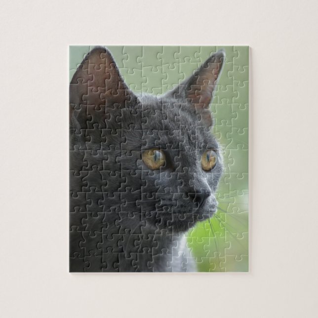 Puzzle Chat bleu russe (Vertical)