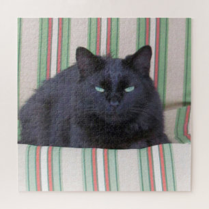 Puzzle - Chat confortable sur Cushion