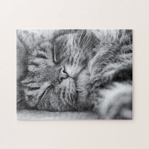 Puzzle Chat couché