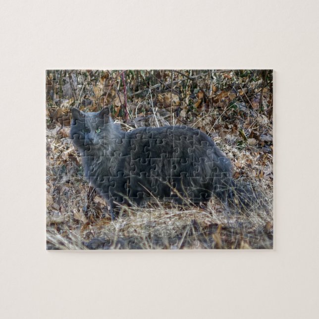 Puzzle Chat dans les bois (Horizontal)