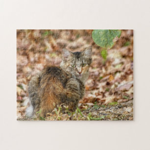 Puzzle Chat d'automne