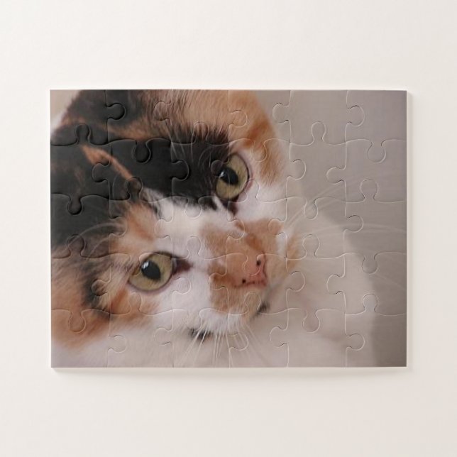 Puzzle Chat de beauté calico (Horizontal)