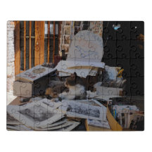 Chat de la librairie de Venise