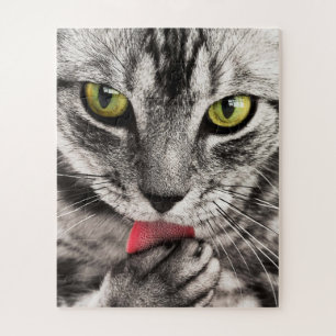 Puzzle Chat gris avec cuisse des yeux jaunes