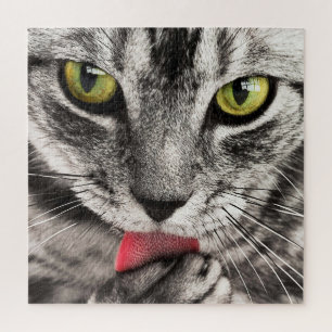 Puzzle Chat gris avec cuisse des yeux jaunes