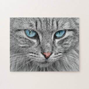 Puzzle Chat gris avec yeux bleus