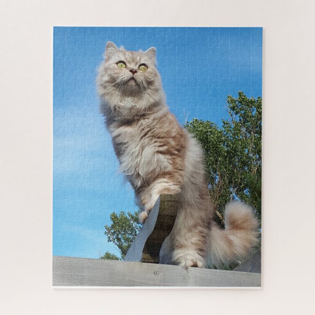 Puzzle Chat Longhair britannique - Chocolat, Tabby Argent (Vertical)