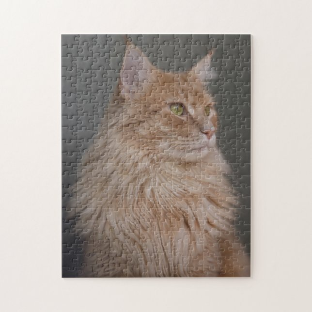 Puzzle Chat Longhair orange (Vertical)