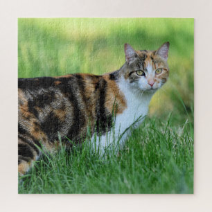 Puzzle Chat marron et blanc