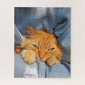 Puzzle Chat mignon