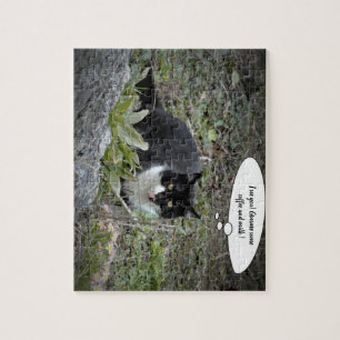Puzzle Chat mignon