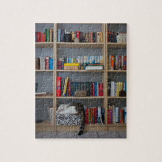 Puzzle Chat mignon dormant sur des livres de bibliothèque