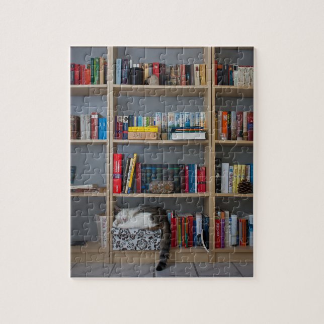 Puzzle Chat mignon dormant sur des livres de bibliothèque (Vertical)