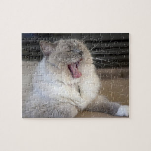 Puzzle chat Neva Masquerade bâillant