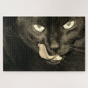 Puzzle Chat noir