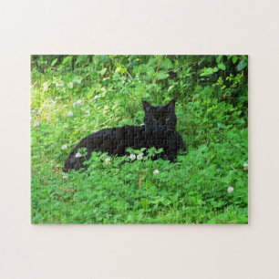 Puzzle Chat Noir