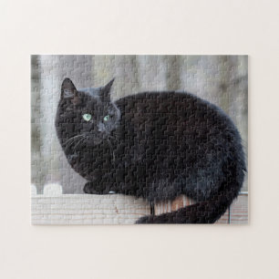 Puzzle Chat noir