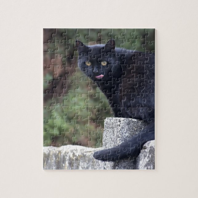Puzzle Chat noir (Vertical)