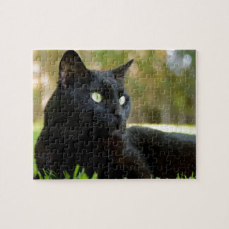 Puzzle Chat noir aux yeux verts appréciant l'extérieur