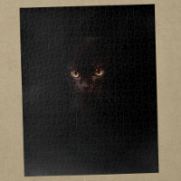 Chat noir mystérieux le plus dur