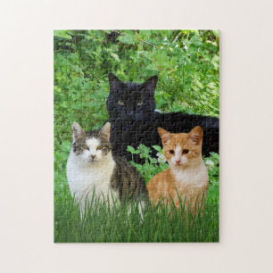 Puzzle Chat noir Tabby Chat Fun Chat Chats en Jardin
