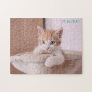 Puzzle Chat orange dans l'arbre du chat /Chat orange