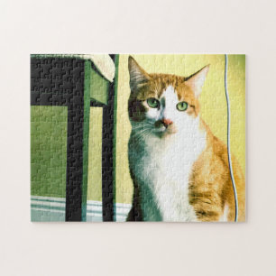 Puzzle Chat orange et blanc avec chaise