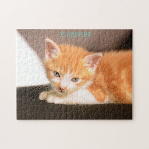 Puzzle Chat orange sur ottoman noir/Chaton orange