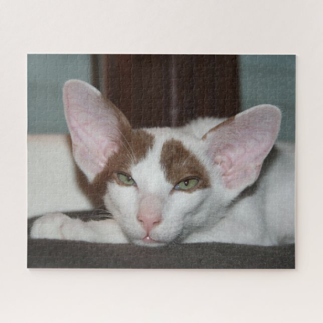Puzzle Chat Oriental Shorthair (Horizontal)