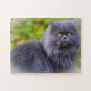 Puzzle Chat Persan