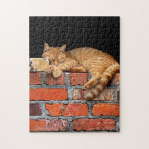 Puzzle Chat sur mur de brique
