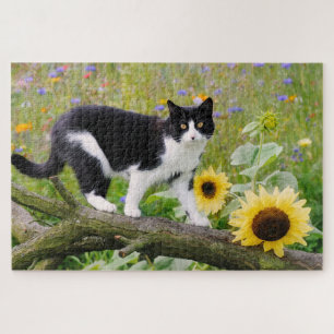 Puzzle Chat tuxedo mignon sur une branche d'arbre avec de