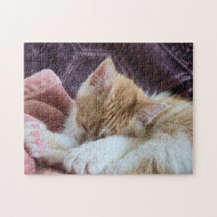 Puzzle Chaton endormi