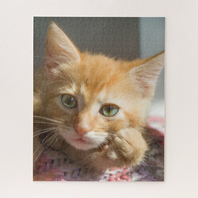 PUZZLE CHATON GINGEMBRE ANNIVERSAIRE  (Vertical)