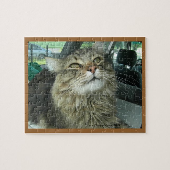 Puzzle chaton Maine Coon (Horizontal)