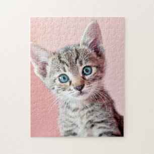 Puzzle Chaton mignon avec les yeux bleus