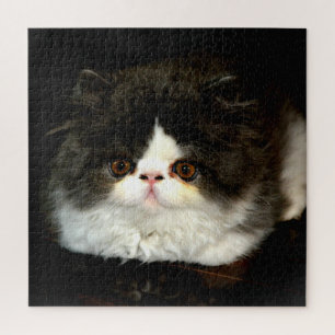 Puzzle Chaton mignon noir et blanc Kitten Kitten