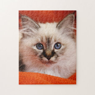 Puzzle Chaton sacré de Birman
