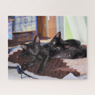 Puzzle Chatons