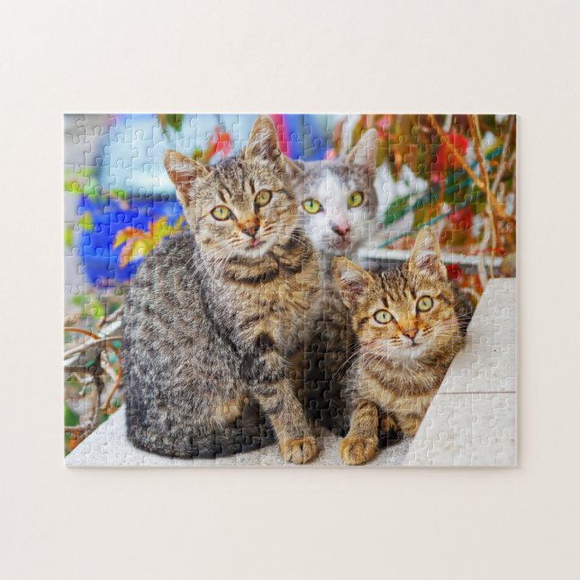 Puzzle chats (Horizontal)