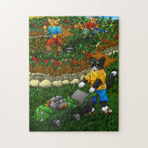 Chats d'été