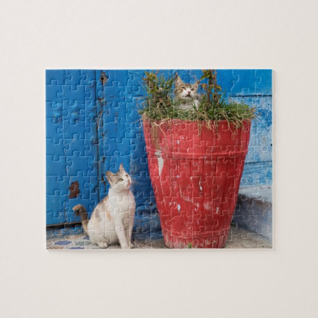 Puzzle Chats qui se baladent, Rabat, Maroc (Horizontal)