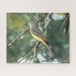 Puzzle Chaudron Brown, amoureux des oiseaux