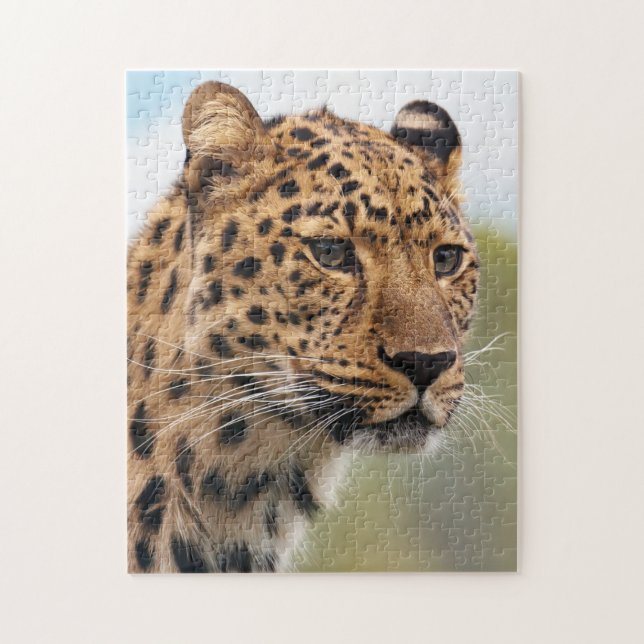 Puzzle Cheetah adulte shaggy dans la nature (Vertical)