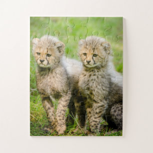 Puzzle Cheetahs jumeaux