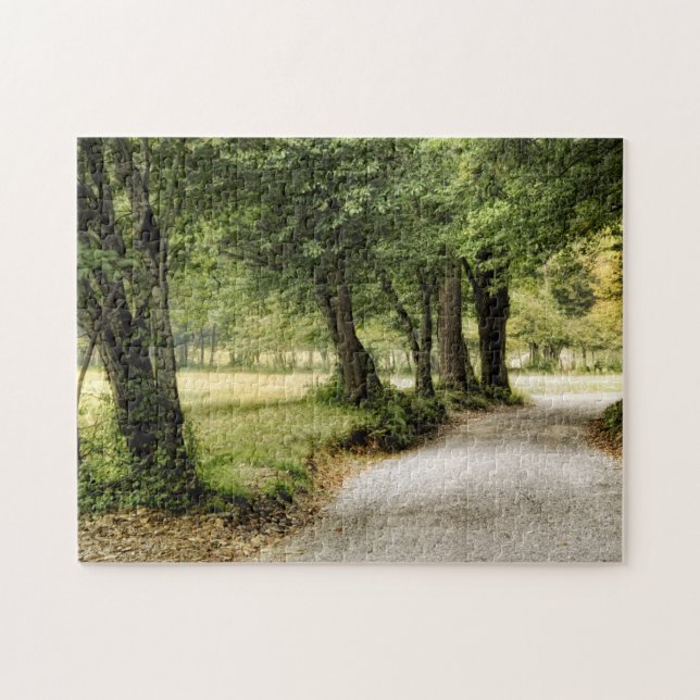 Puzzle Chemin dans le pays (Horizontal)