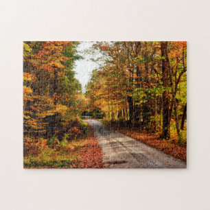 Puzzle Chemin de bois avec feuillage de chute