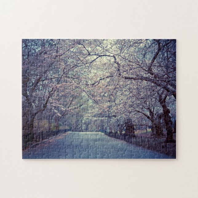 Puzzle Chemin de fleurs de cerisier de Central Park (Horizontal)